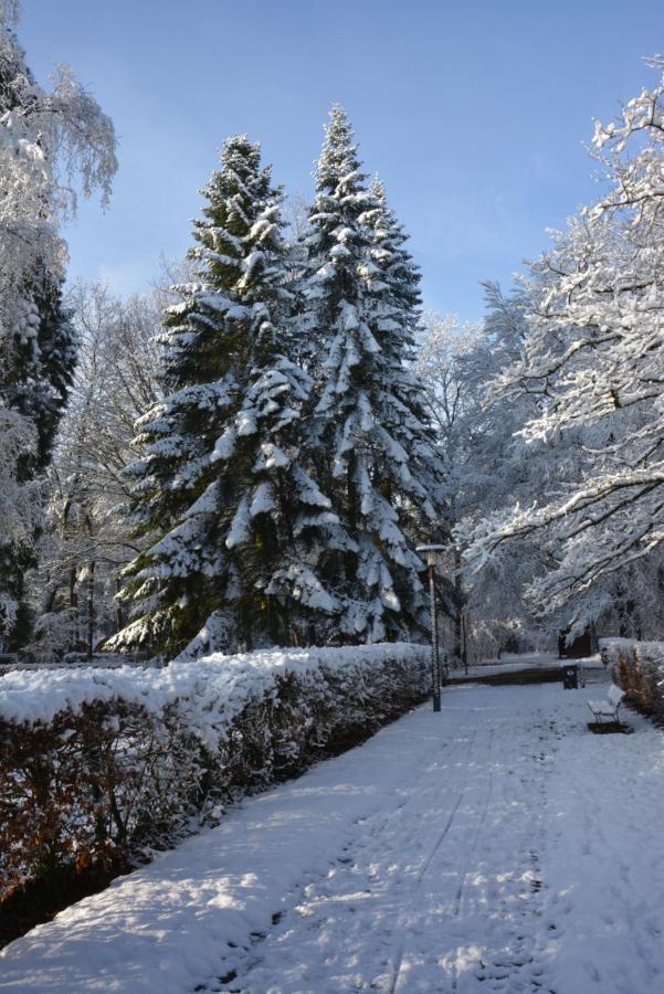 B&B De Boerderij Berdorf Dış mekan fotoğraf